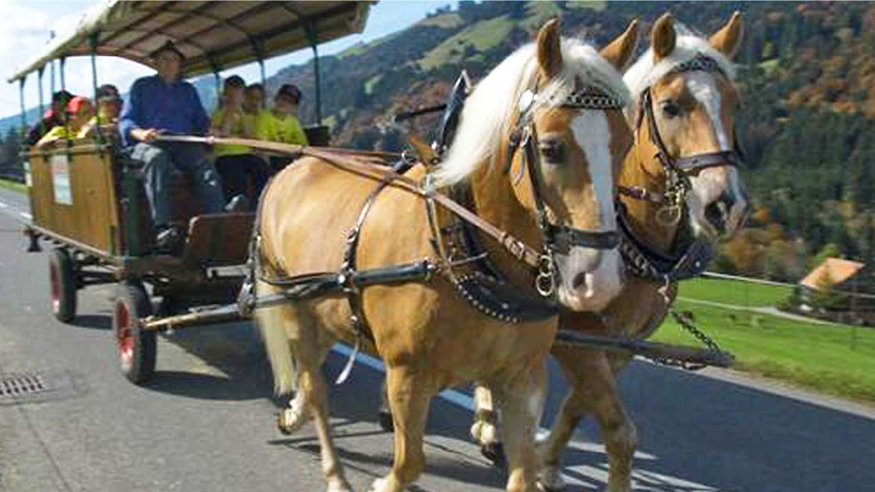 Kutsche
