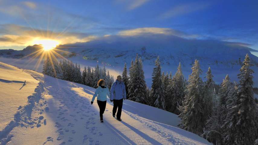 Winter-Wandern