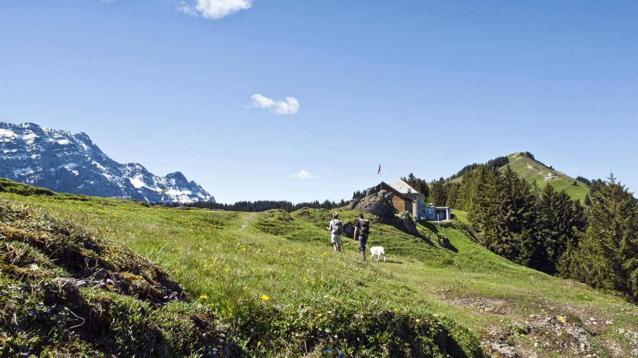 «noodisnoo uufwäts»