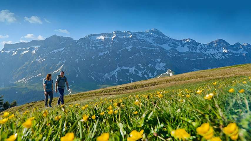 Wandern